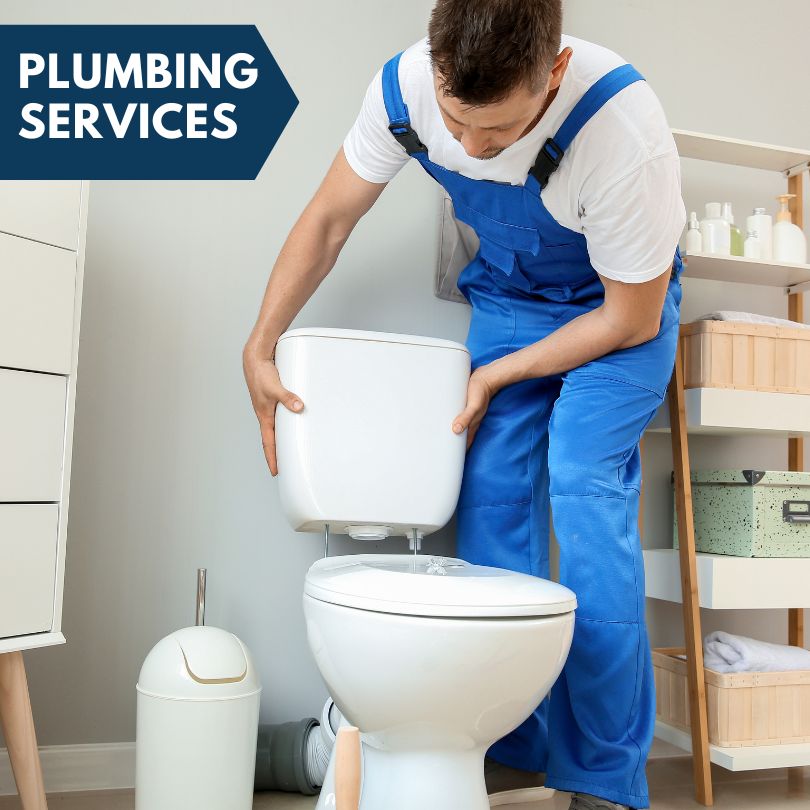 Plumbing Company in Sorento, IL